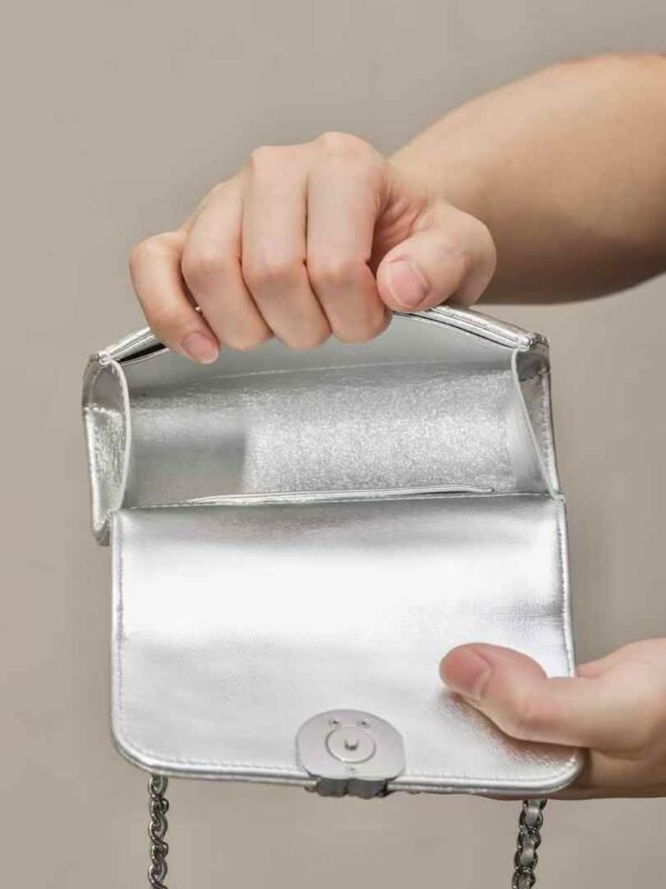 CHANEL Clutch with Chain