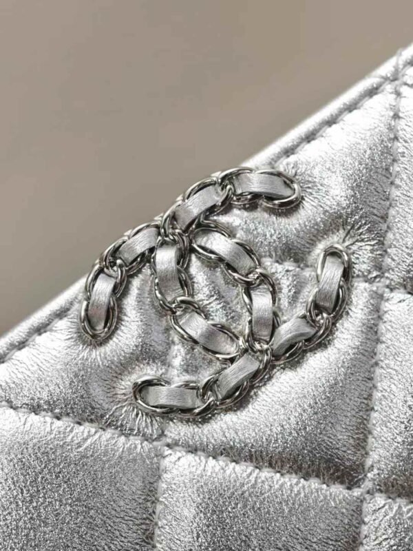 CHANEL Clutch with Chain