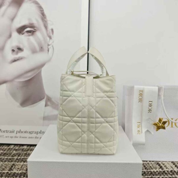 Dior Toujours Vertical Tote Bag