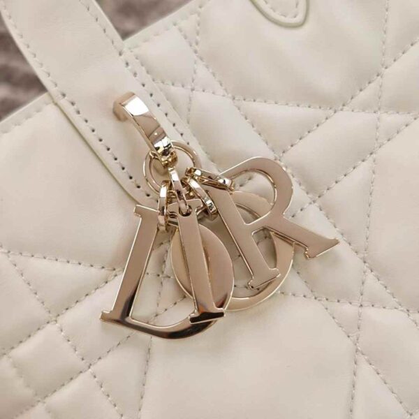 Dior Toujours Vertical Tote Bag