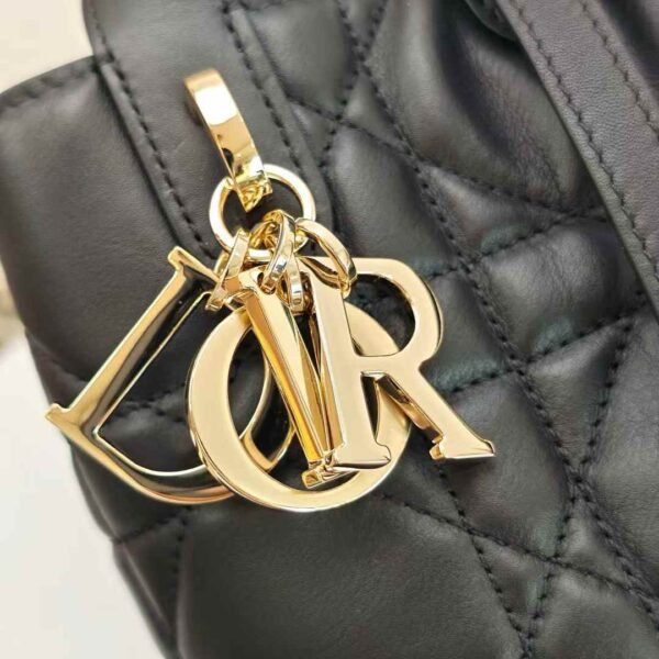 Dior Toujours Vertical Tote Bag