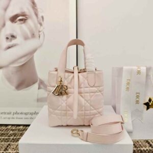 Dior Toujours Vertical Tote Bag