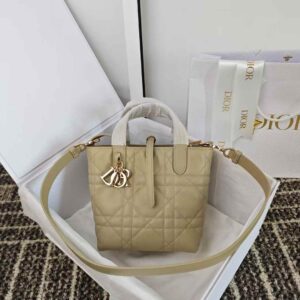 Dior Toujours Vertical Tote Bag