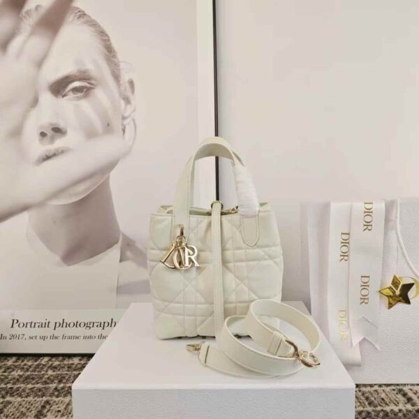 Dior Toujours Vertical Tote Bag