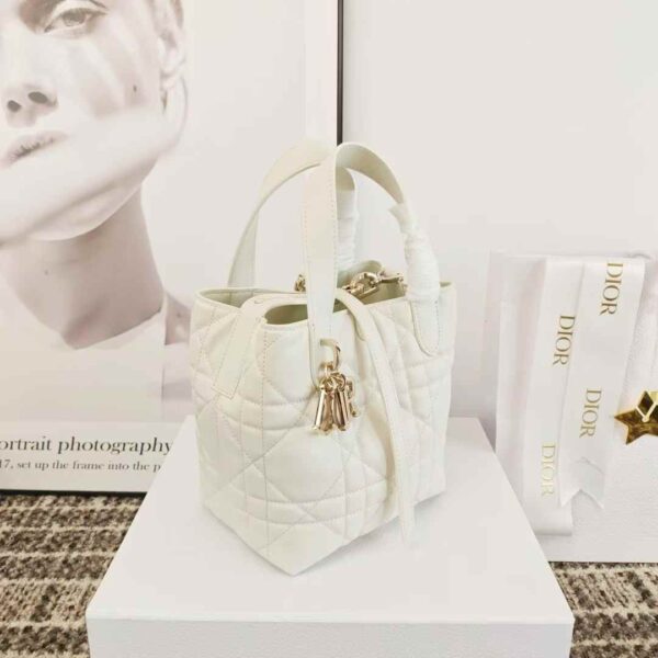 Dior Toujours Vertical Tote Bag