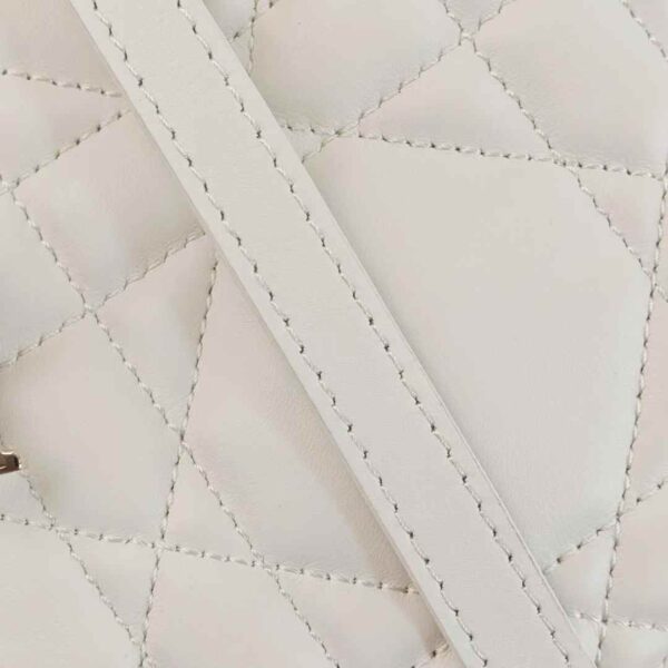 Dior Toujours Vertical Tote Bag