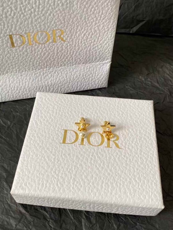 DIOR Earrings