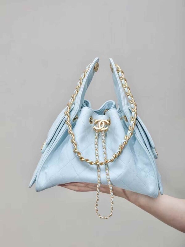 CHANEL 25 Small Handbag