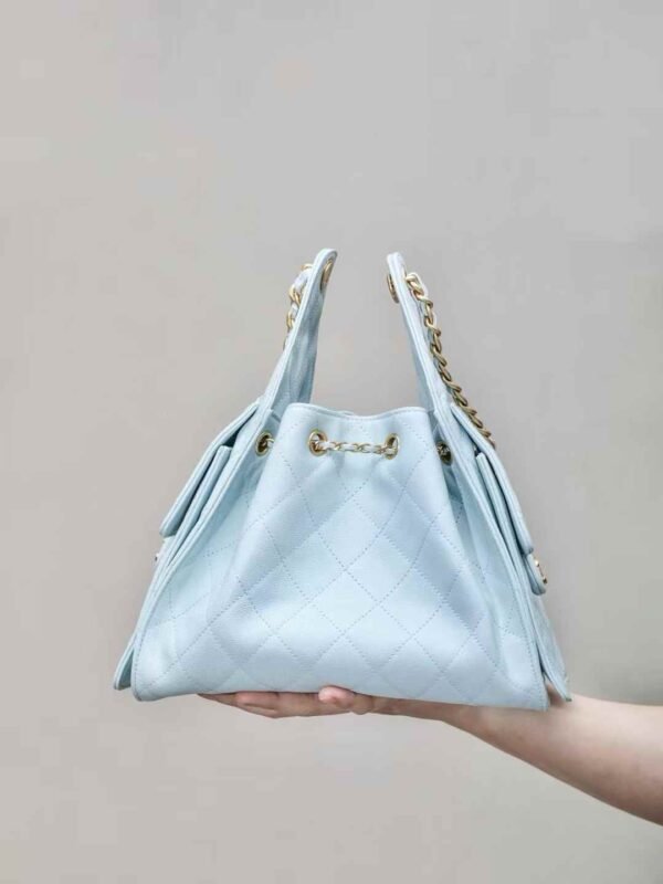 CHANEL 25 Small Handbag