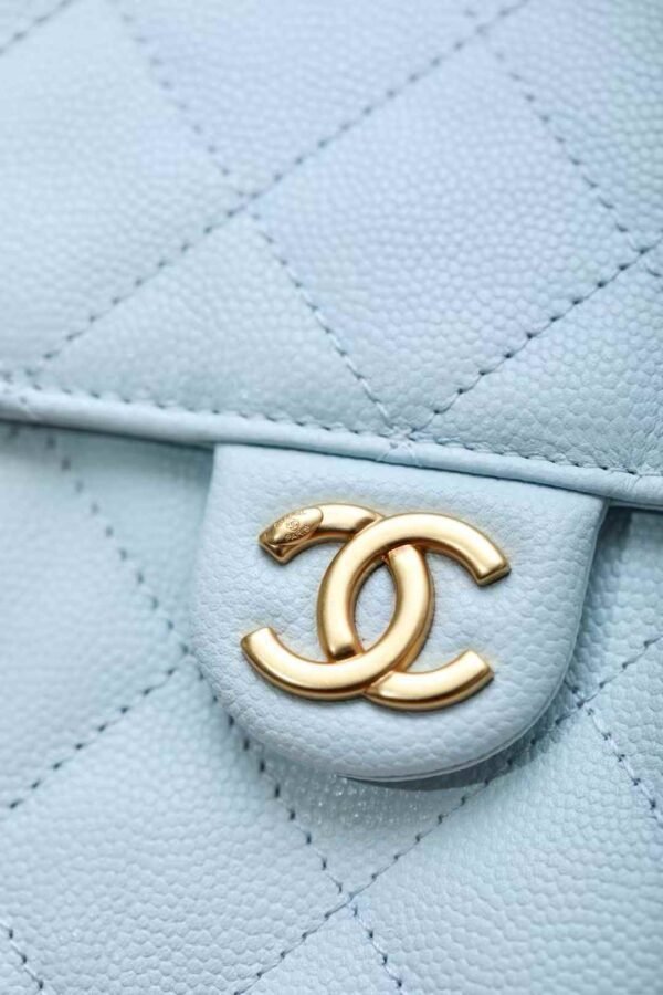 CHANEL 25 Small Handbag