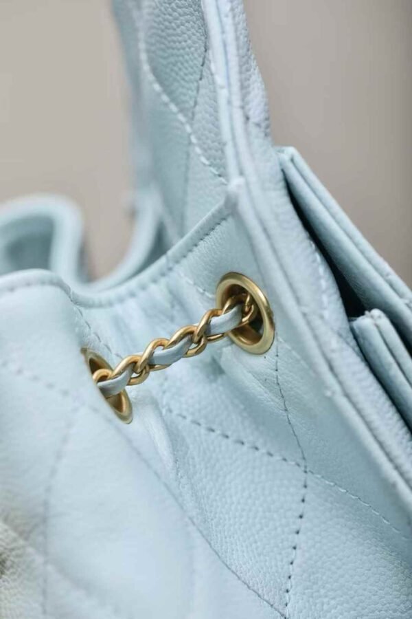 CHANEL 25 Small Handbag