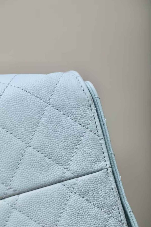 CHANEL 25 Small Handbag