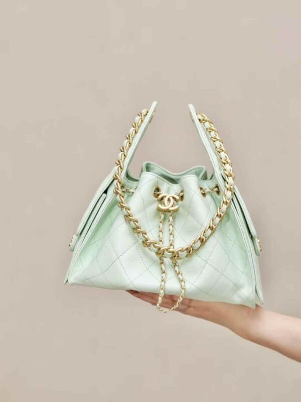 CHANEL 25 Small Handbag