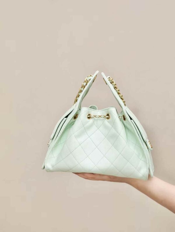 CHANEL 25 Small Handbag
