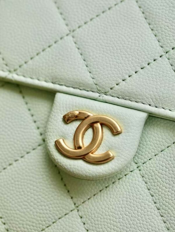 CHANEL 25 Small Handbag