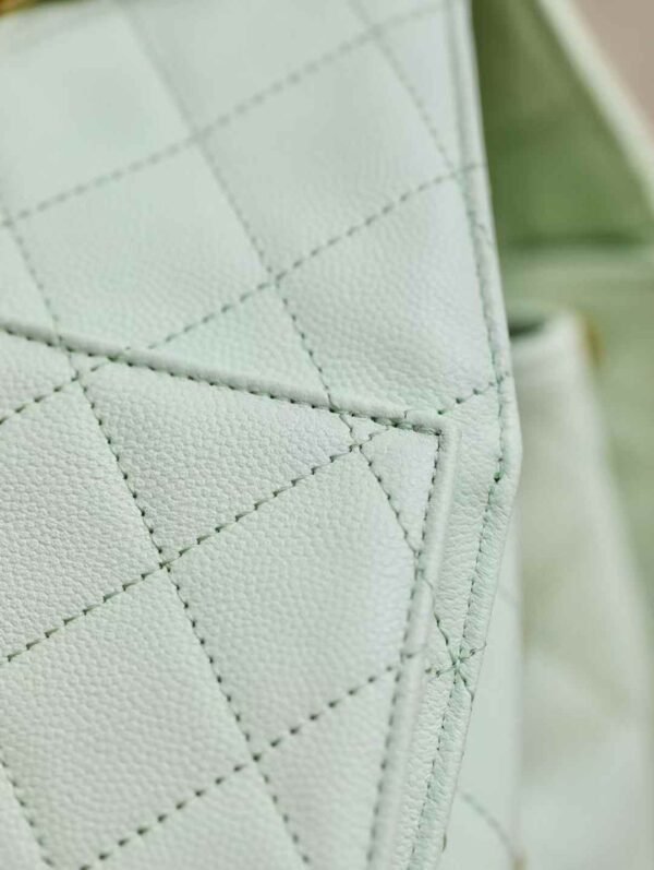 CHANEL 25 Small Handbag