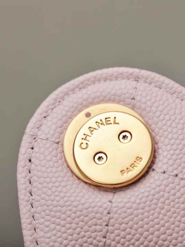 CHANEL 25 Small Handbag