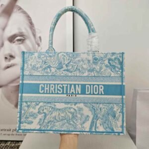Dior Book Tote