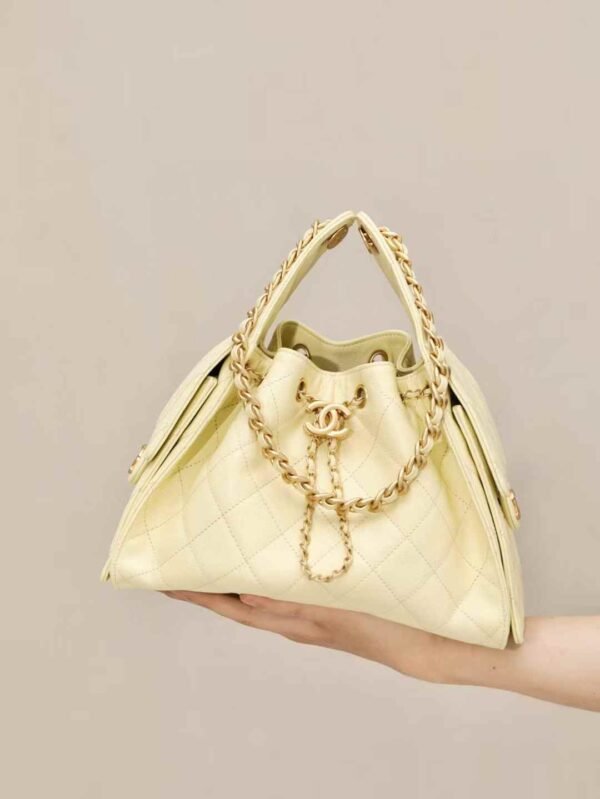 CHANEL 25 Small Handbag