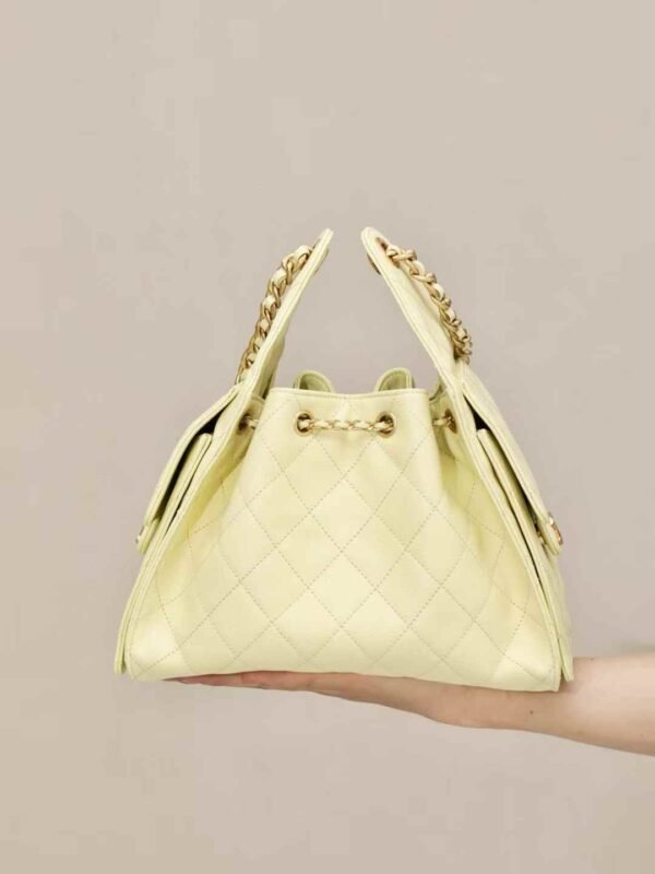 CHANEL 25 Small Handbag