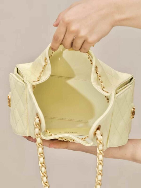 CHANEL 25 Small Handbag