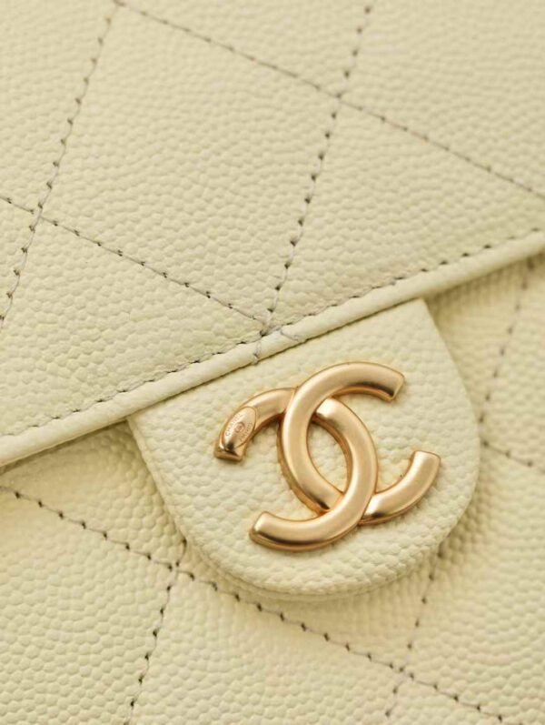 CHANEL 25 Small Handbag