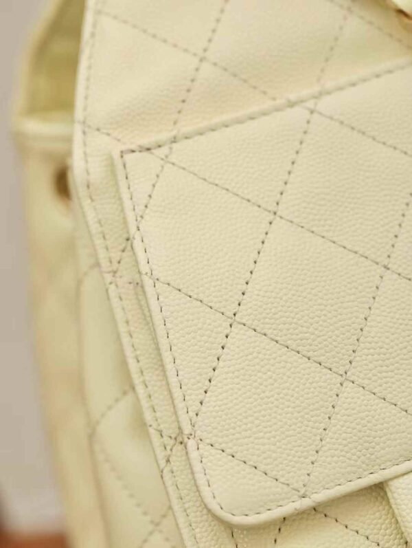 CHANEL 25 Small Handbag