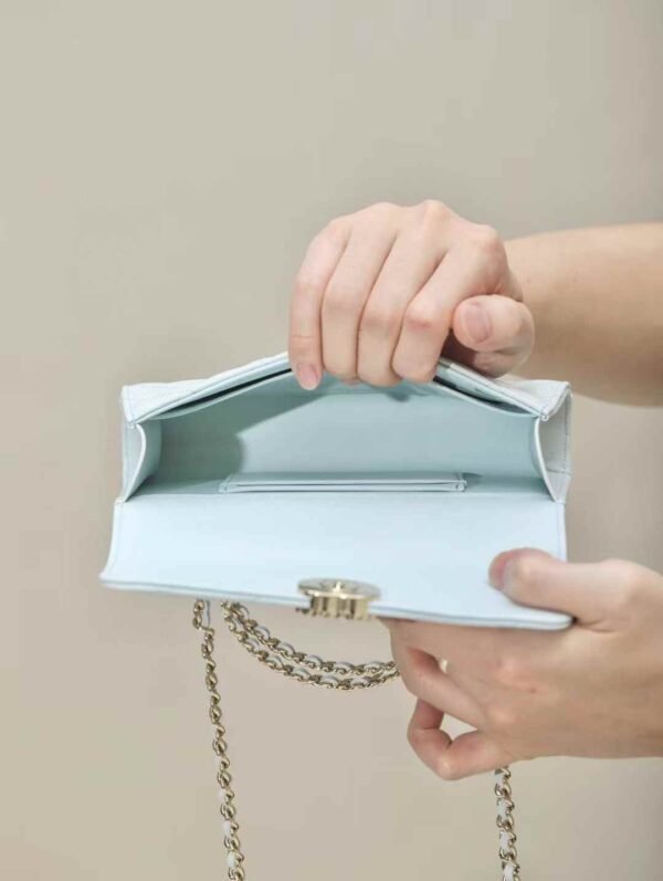 CHANEL Clutch with Chain