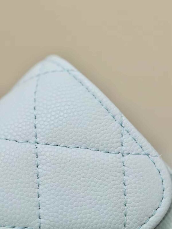 CHANEL Clutch with Chain