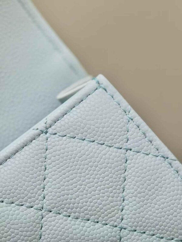 CHANEL Clutch with Chain