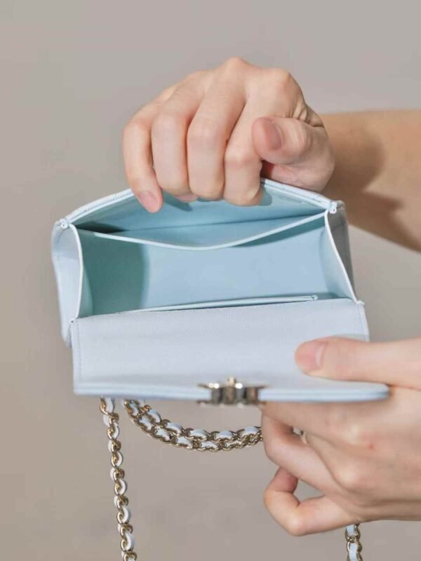 CHANEL Clutch with Chain