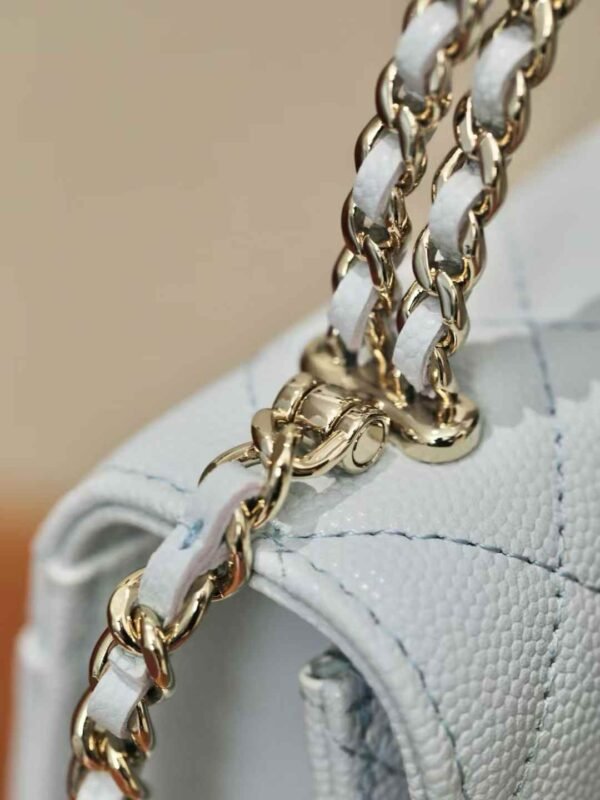 CHANEL Clutch with Chain