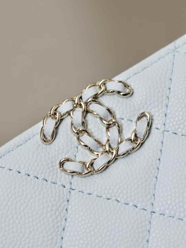CHANEL Clutch with Chain