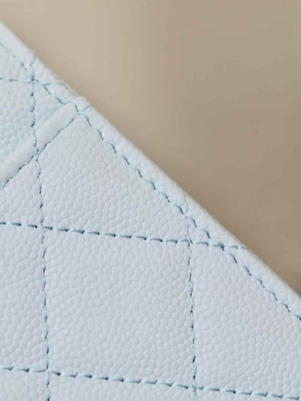 CHANEL Clutch with Chain