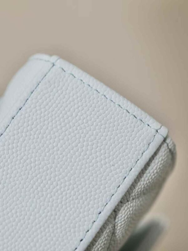 CHANEL Clutch with Chain