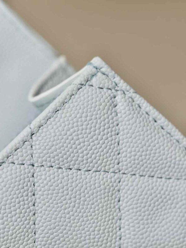 CHANEL Clutch with Chain
