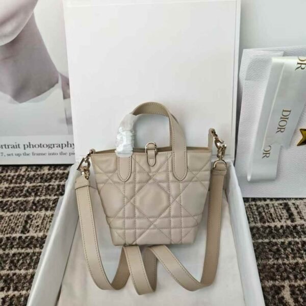 Dior Toujours Vertical Nano Tote Bag