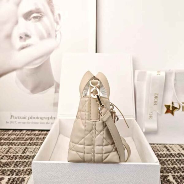 Dior Toujours Vertical Nano Tote Bag