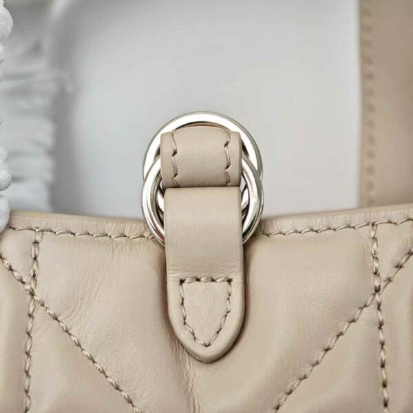 Dior Toujours Vertical Nano Tote Bag