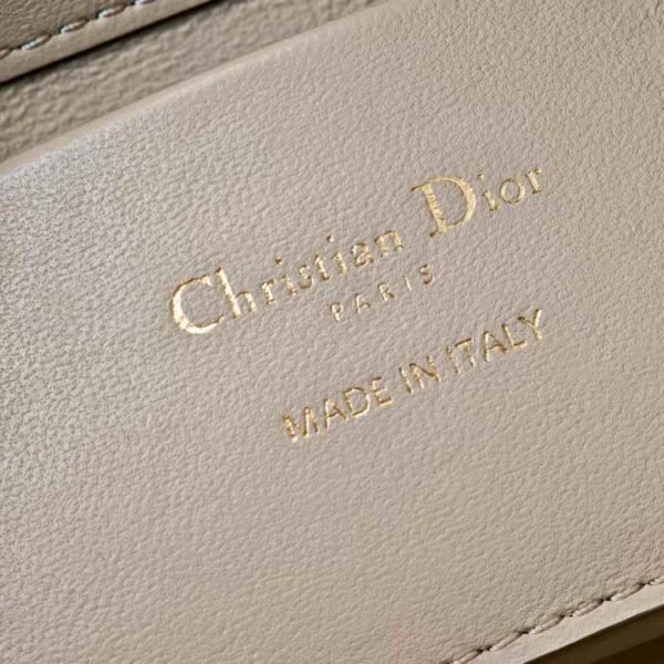 Dior Toujours Vertical Nano Tote Bag