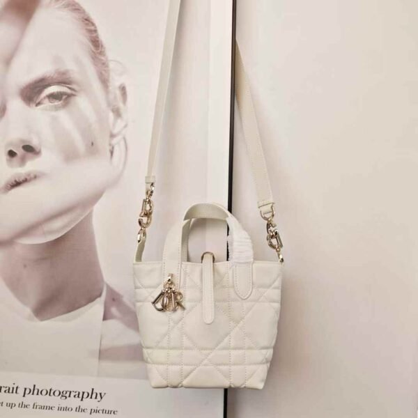 Dior Toujours Vertical Nano Tote Bag