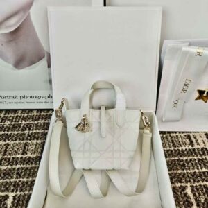 Dior Toujours Vertical Nano Tote Bag
