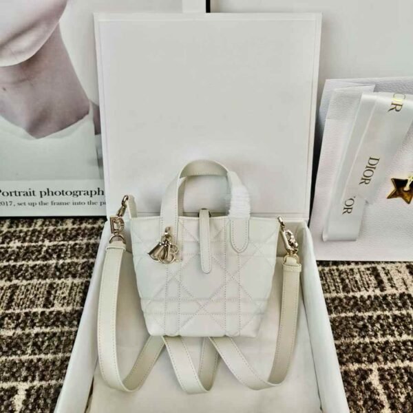 Dior Toujours Vertical Nano Tote Bag