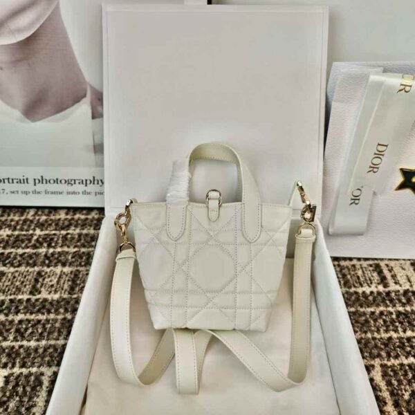 Dior Toujours Vertical Nano Tote Bag
