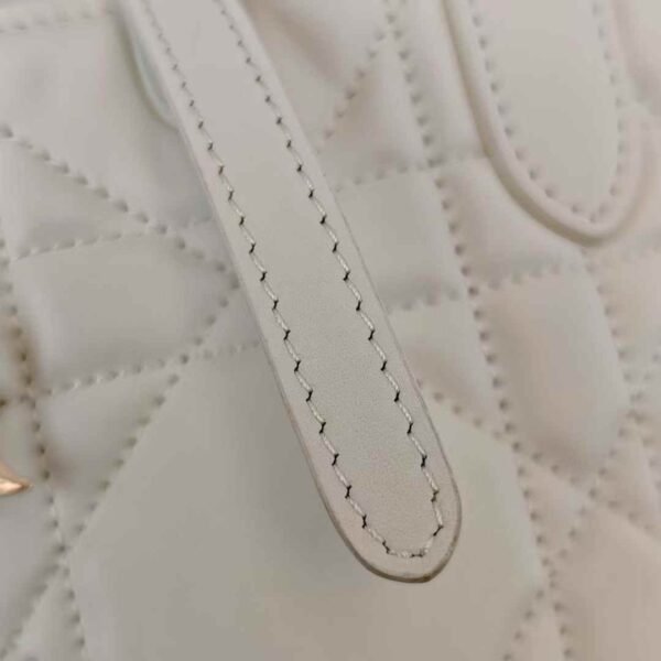 Dior Toujours Vertical Nano Tote Bag