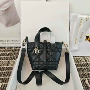 Dior Toujours Vertical Nano Tote Bag