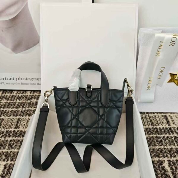 Dior Toujours Vertical Nano Tote Bag
