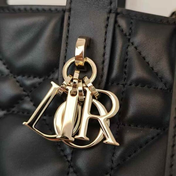 Dior Toujours Vertical Nano Tote Bag