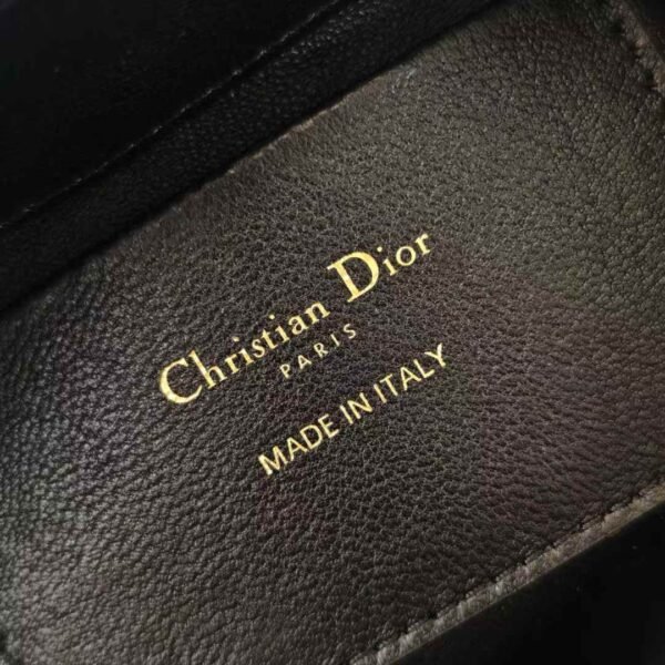 Dior Toujours Vertical Nano Tote Bag