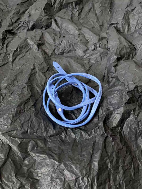 GOYARD Poitiers  bag